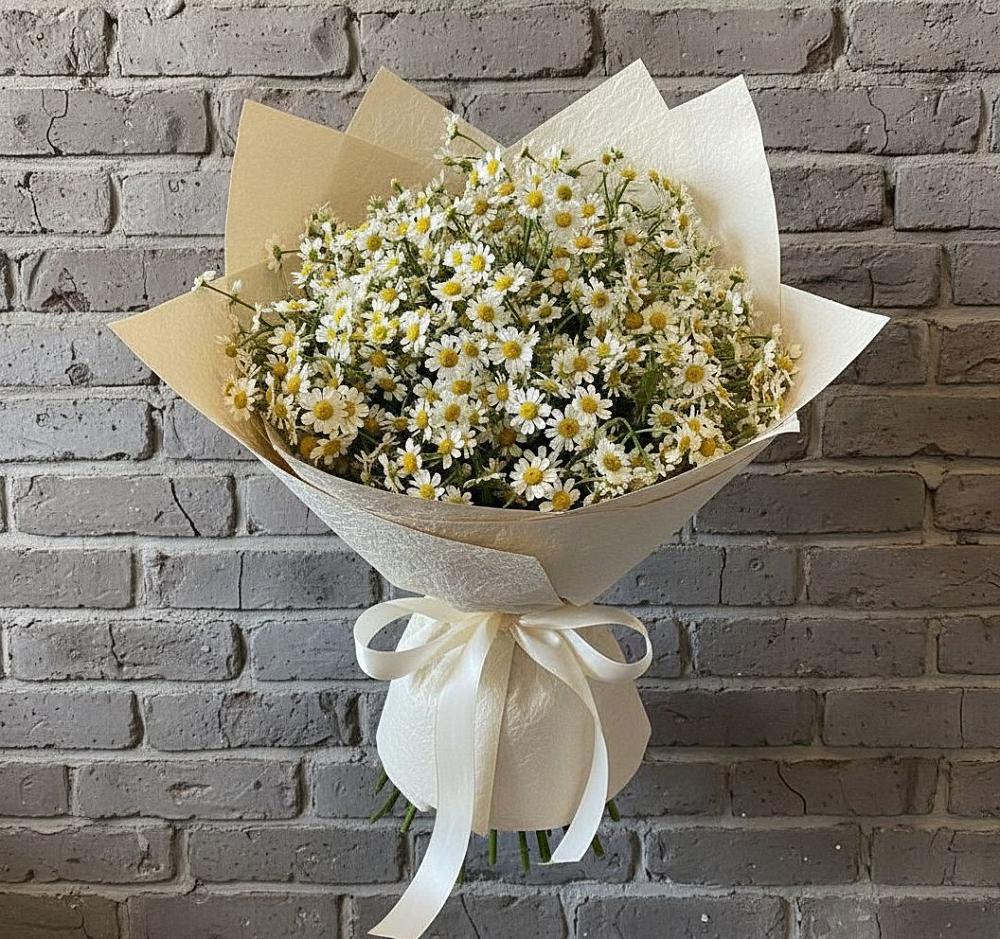 Букет цветов из: Ромашки в Плиево