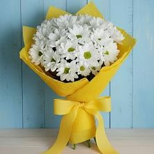 Букет цветов из:  Хризантемы в Плиево