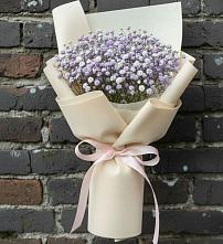 Букет цветов из:  Гипсофила в Плиево