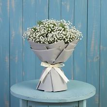 Букет цветов из:  Гипсофила в Плиево