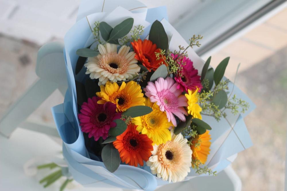 Букет цветов из: Герберы в Плиево