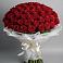 Букет 101 Красная роза Блэк Мэджик в Плиево