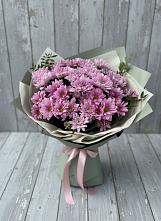 Букет цветов из:  Хризантемы в Плиево