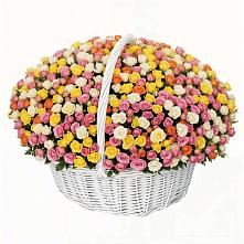 Премиум букет из: Розы в Плиево