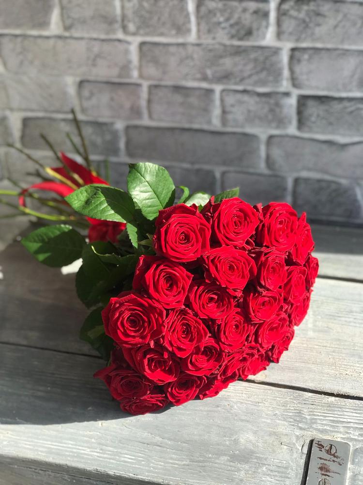 Букет Красные розы Фридом в Плиево