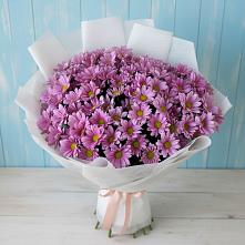 Букет цветов из:  Хризантемы в Плиево