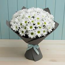 Букет цветов из:  Хризантемы в Плиево