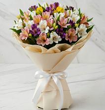 Букет цветов из:  Альстромерии в Плиево