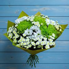 Букет цветов из:  Хризантемы в Плиево
