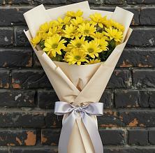 Букет цветов из:  Хризантемы в Плиево