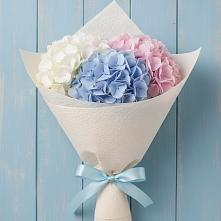 Букет цветов из:  Гортензия в Плиево