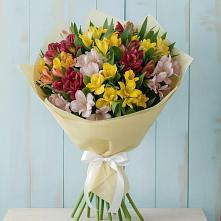 Букет цветов из:  Альстромерии в Плиево