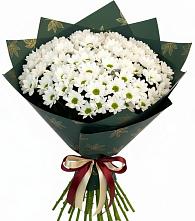 Букет цветов из:  Хризантемы в Плиево