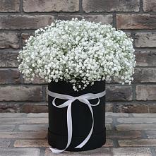 Цветочная композиция из Гипсофила в шляпной коробке #REPLACE_PRED# Плиево