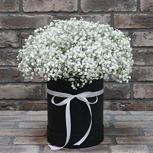 Цветочная композиция из Гипсофила в шляпной коробке в Плиево