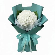 Букет цветов из:  Гортензия в Плиево